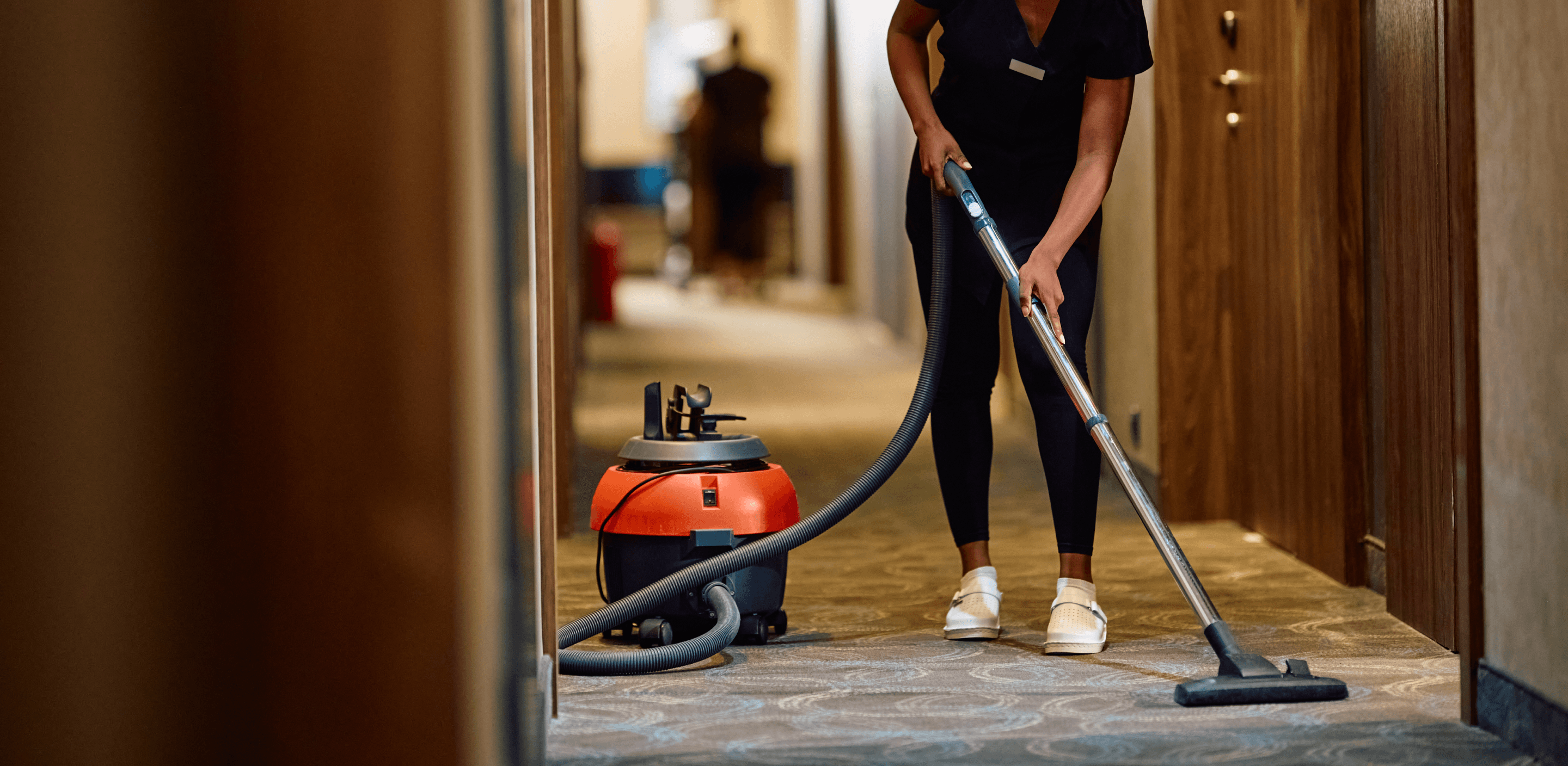 Professional cleaning services